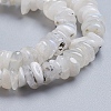 Natural Rainbow Moonstone Strands G-G841-B07-3