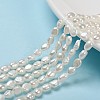 Natural Cultured Freshwater Pearl Beads Strands PEAR-S012-77A-1