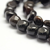 Natural Black Petrified Wood Beads Strands G-F464-06-3