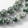 Gemstone Beads Strands GSR006-2