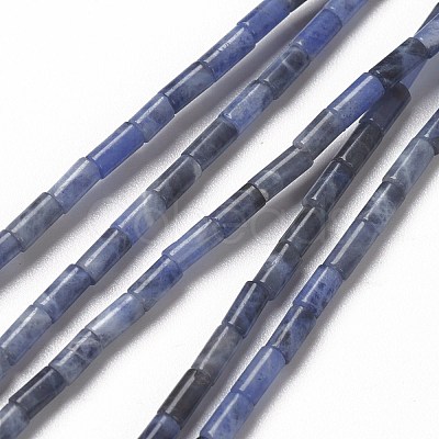 Natural Sodalite Beads Strands G-B004-A27-1