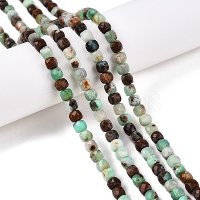 Natrual Green Opal Beads Strands G-N342-121-1