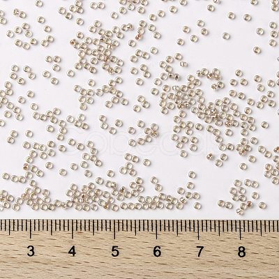 MIYUKI Round Rocailles Beads X-SEED-G009-RR3191-1