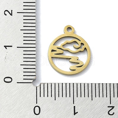 304 Stainless Steel Charms STAS-C097-39G-1