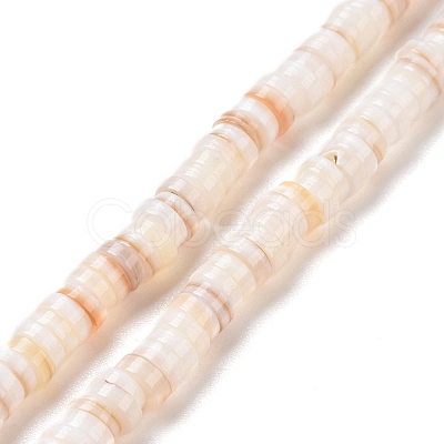 Natural Freshwater Shell Beads Strands X-SHEL-G011-09-A02-1