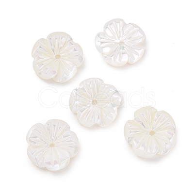 Natural Trochid Shell/Trochus Shell Beads SHEL-P014-02B-1