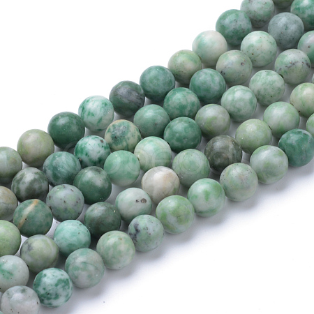 Natural Qinghai Jade Beads Strands X-G-T055-6mm-16-1