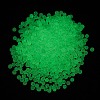 Luminous Transparent Glass Seed Round Beads GLAA-F124-D05-B-2