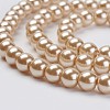 Eco-Friendly Glass Pearl Bead Strands X-HY-A008-6mm-RB019-3