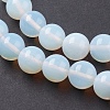 Opalite Beads Strands G-H1520-3