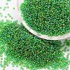 8/0 Round Glass Seed Beads X-SEED-J011-F8-167-1