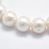 Grade AAA Natural Cultured Freshwater Pearl Beads Strands PEAR-K003-02A-3