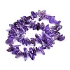 Natural Amethyst Chips Beads Strands X-G416-A19-2