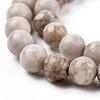 Natural Maifanite/Maifan Stone Beads Strands G-F353-8mm-6