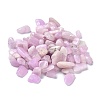 Natural Kunzite Beads G-C231-04-1