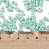 Glass Seed Beads SEED-L011-04A-12-4