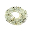 Natural Prehnite Beads Strands G-N342-124-2