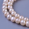 Natural Cultured Freshwater Pearl Beads Strands PEAR-E004-22-3