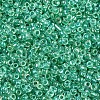 12/0 Glass Seed Beads SEED-A016-2mm-216-3