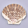 Natural Scallop Shell Beads SSHEL-S258-46-2