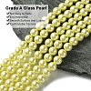 Eco-Friendly  Dyed Glass Pearl Round Beads Strands HY-A002-8mm-RB012-2