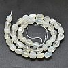 Natural White Moonstone Beads Strands G-O186-C-04-3