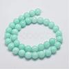 Natural & Dyed Malaysia Jade Bead Strands G-A146-6mm-B-2