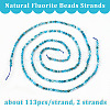 Olycraft 2 Strands Natural Apatite Beads Strands G-OC0004-41-4