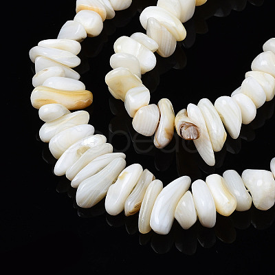 Natural Trochid Shell/Trochus Shell Beads Strands X-SHEL-S258-080-A01-1