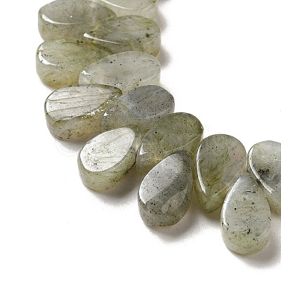 Natural Labradorite Beads Strands G-B064-B62-1