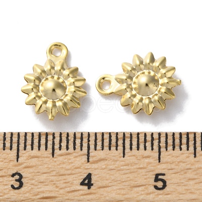 Brass Charms KK-F880-10G-1