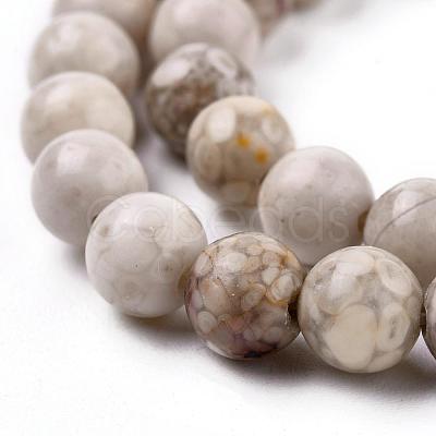 Natural Maifanite/Maifan Stone Beads Strands G-F353-8mm-1