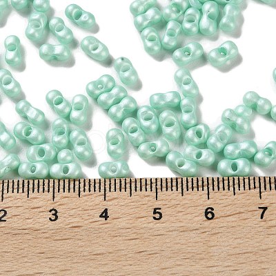 Glass Seed Beads SEED-L011-04A-12-1