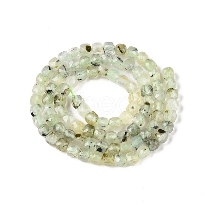 Natural Prehnite Beads Strands G-N342-124-1