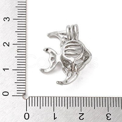 Alloy Bead Cage Pendants FIND-M012-01E-P-1