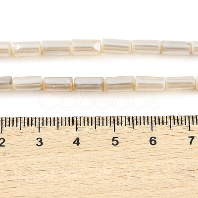 Electroplated Natural Freshwater Shell Beads Strands BSHE-G036-23-1