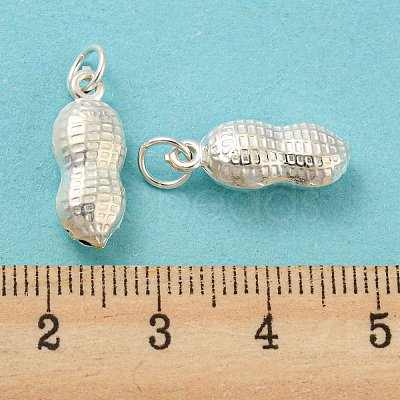 925 Sterling Silver Pendants STER-B002-12S-1