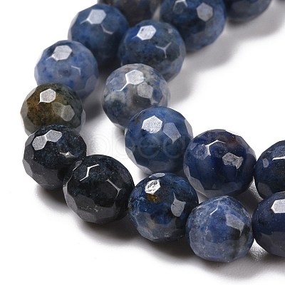 Natural Dumortierite Beads Strands G-E571-06A-1