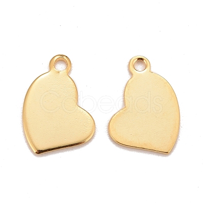 201 Stainless Steel Charms STAS-K217-77G-1