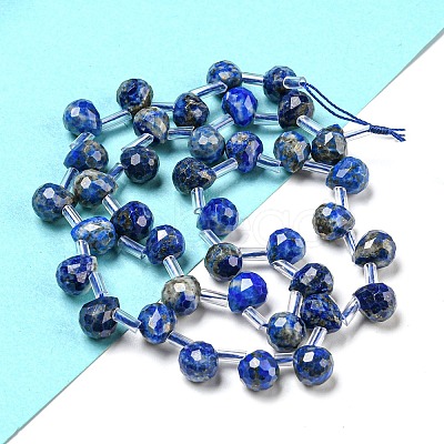 Natural Lapis Lazuli Beads Strands G-H297-B02-02-1