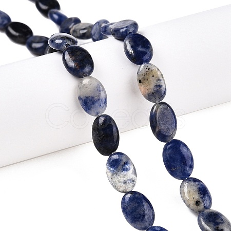 Natural Sodalite Beads Strands G-M206-39-1