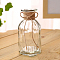 Glass Vases, Hydroponic Plants Planter, Home Display Decorations, Column, Clear, 140mm, Inner Diameter: 50mm