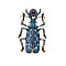 Beetle Enamel Pins, Alloy Rhinestone Brooches for Backpack Clothes, Marine Blue, 68x44mm