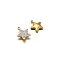 Stainless Steel Pendants, with Rhinestone, Star Charm, Golden, Crystal, 13mm