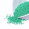 12/0 Grade A Round Glass Seed Beads SEED-Q009-FJX10-1