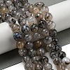 Faceted Natural Dragon Veins Agate Beads Strands G-F447-12mm-I03-2