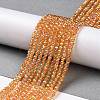 Electroplate Transparent Glass Beads Strands X1-GLAA-H021-01B-FR06-3