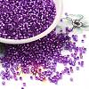 Glass Seed Beads SEED-S042-04B-20-1