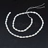 Dyed Natural Shell Beads Strands X-BSHE-E023-01C-2