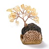 Resin & Natural Mixed Stone Model Ornament DJEW-Z001-01-4